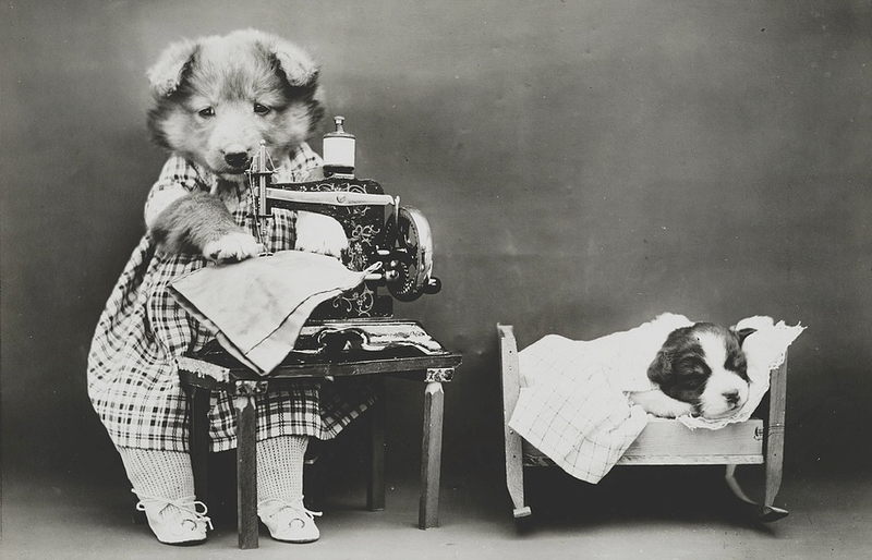 Illustration for article titled Even In The 1900s, Humans Were Obsessed With Photos Of Dogs In Clothes